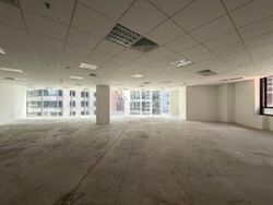 PLUS (D1), Office #559885001